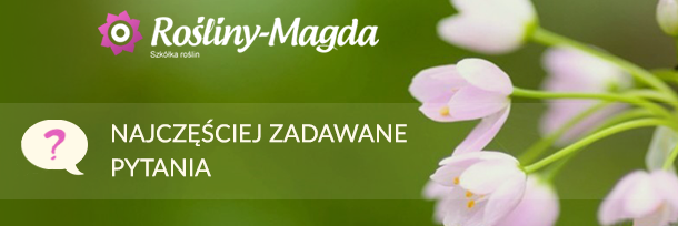 Najczęściej zadawane pytania