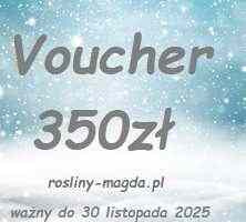 Voucher - Kupon Rabatowy z 15% rabatem